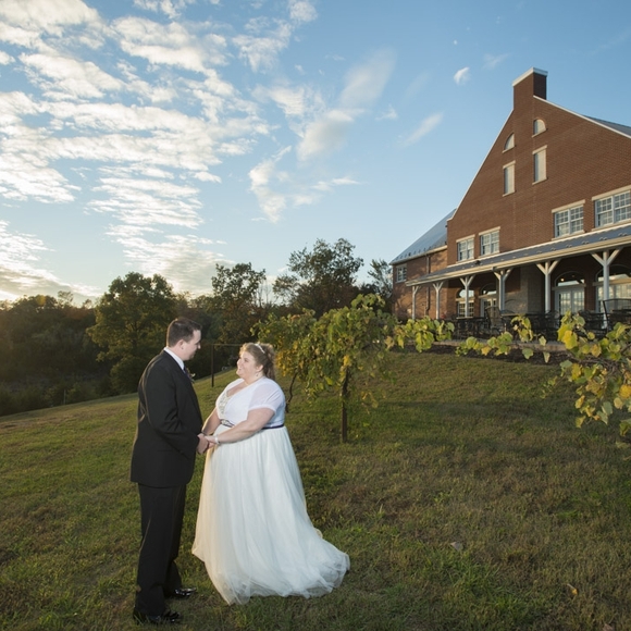 DISNEY ALFRED ANGELO COLLECTION - 237 Jasmine Gown with Corset Back (SIZE 26) - Picture 9 of 9